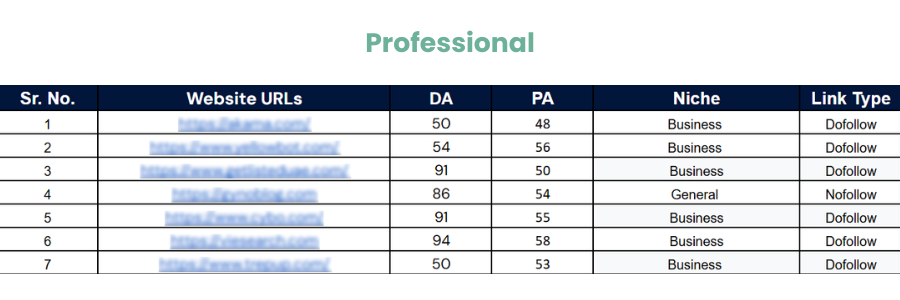 Professional backlinks